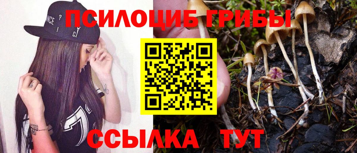 Галлюциногенные грибы Psilocybe  Вход с VPN  Псилоцибиновые грибы мухоморы  Верхний Уфалей 